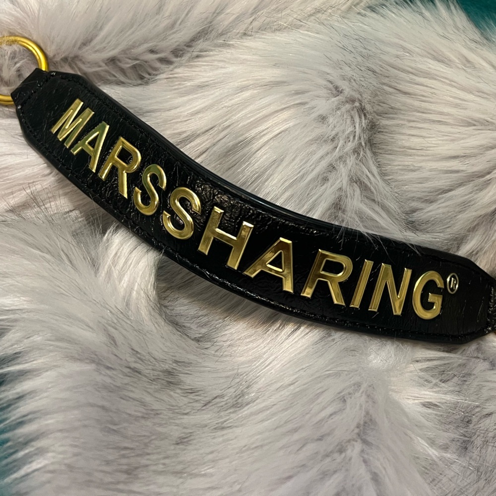 MARSSHARING Leather belt with gold accent - add to bag or as a bold jewelry